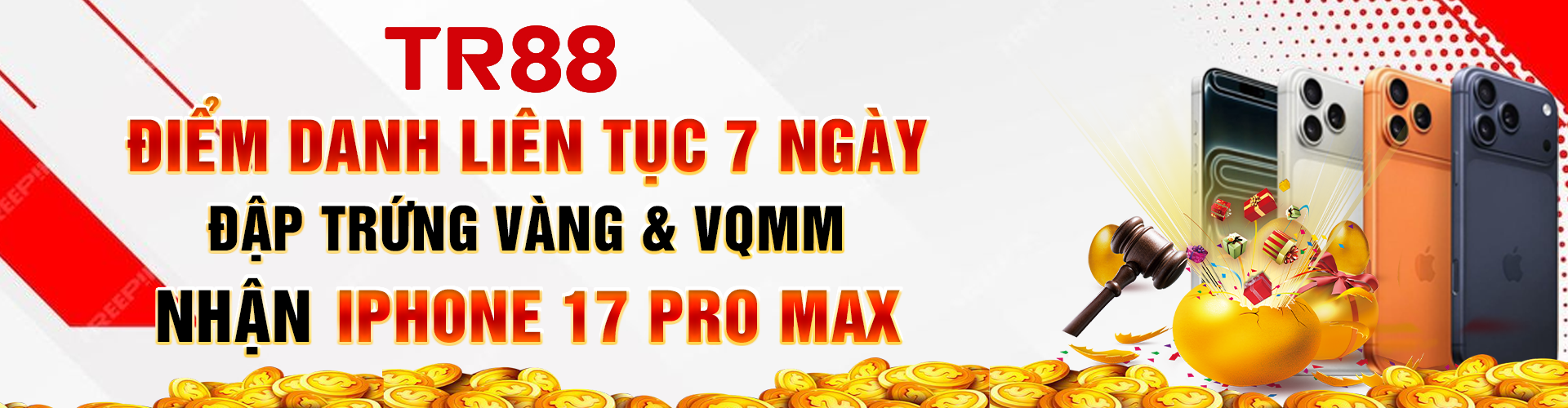 banner tr88