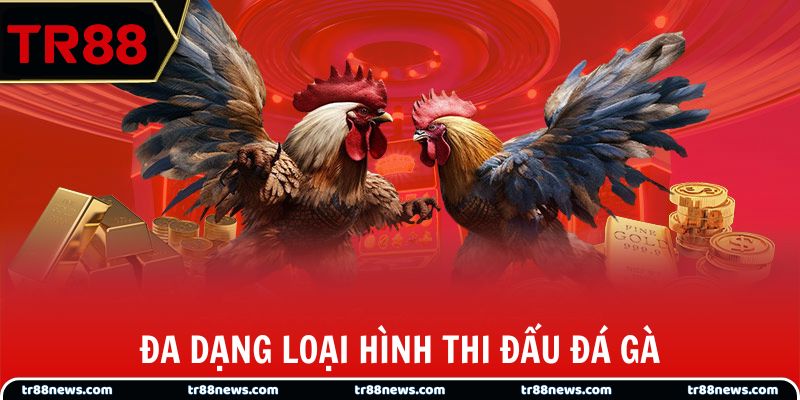 Đa dạng loại hình thi đấu đá gà