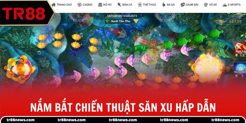 Nắm bắt chiến thuật săn xu hấp dẫn